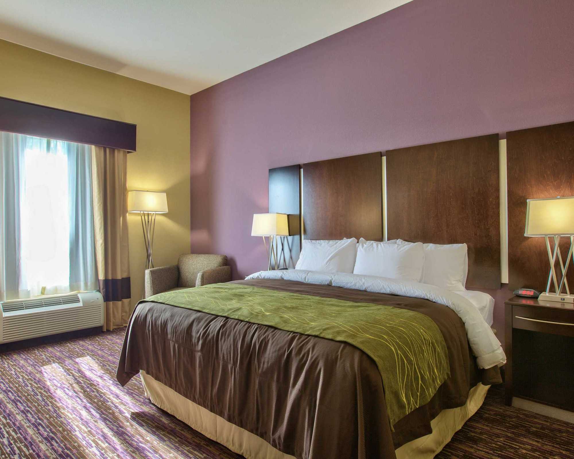 Comfort Inn & Suites Dothan East Oda fotoğraf